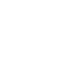 Transforming Beauty Logo